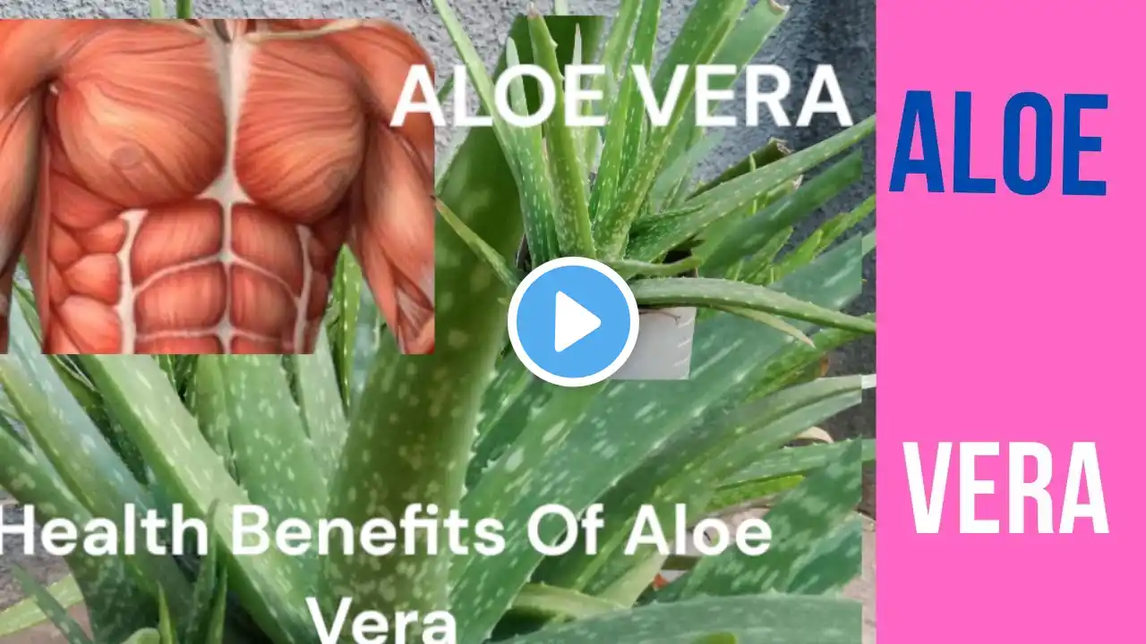 Unlock the Secret Health Benefits of Aloe Vera – Here’s How. #AloeVera.