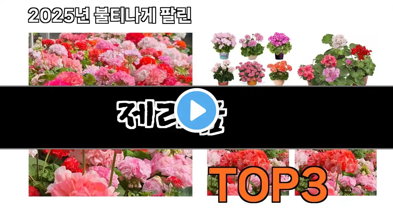 제라늄 추천 BEST 3 올해 판매랭킹순위 3ㅣ추천템ㅣ생활 꿀템ㅣ