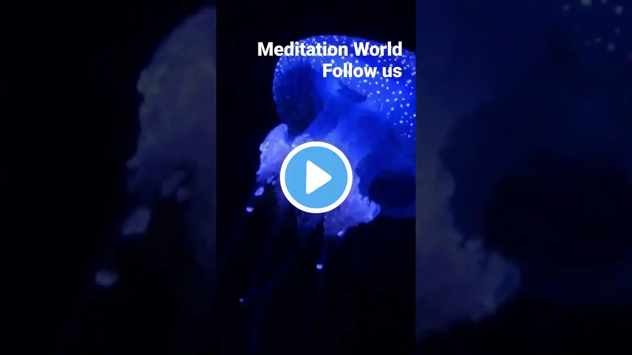 #5hours #best #relaxationmusic #bluescreen #spamusic #aquarium #nightsleepmusic #short #night