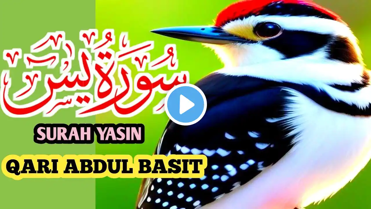 Surah Yasin (Yaseen) | By Sheikh Abdur-Rahman As-Sudais|Full With Arabic Text (HD) | 36سورۃ یس|Ep#38