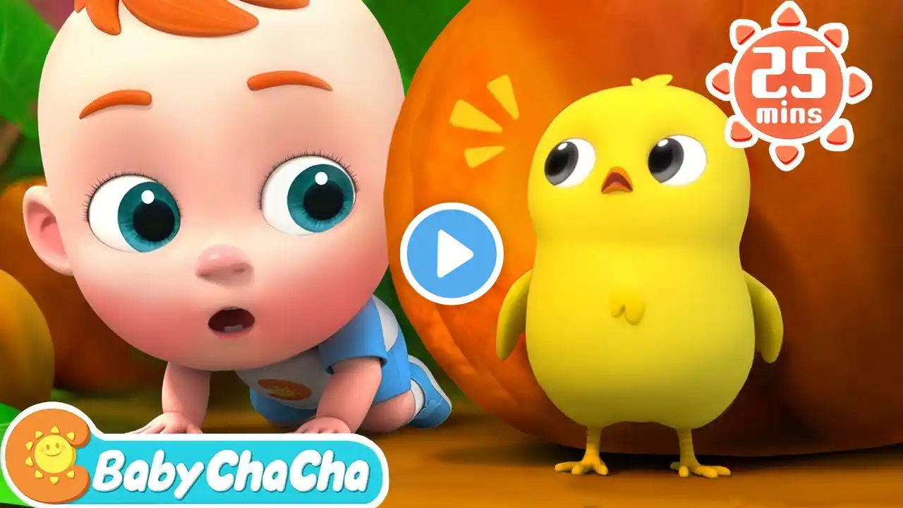 Little Chick Search Song | Little Chick, Where Are You? + Baby ChaCha Nursery Rhymes & Kids Songs