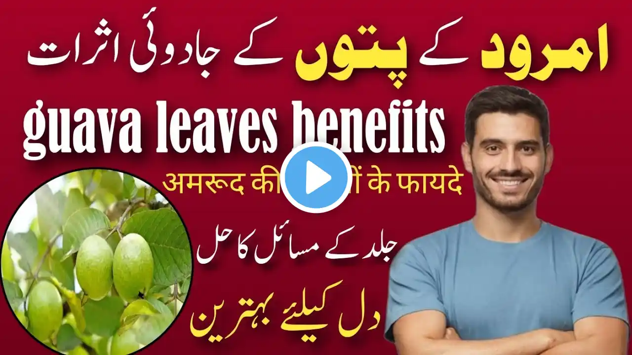 Amrood Ke Patton Ke Hairat Angaiz Faide | Guava Leaves Health Benefits in urdu | Guava Leaves