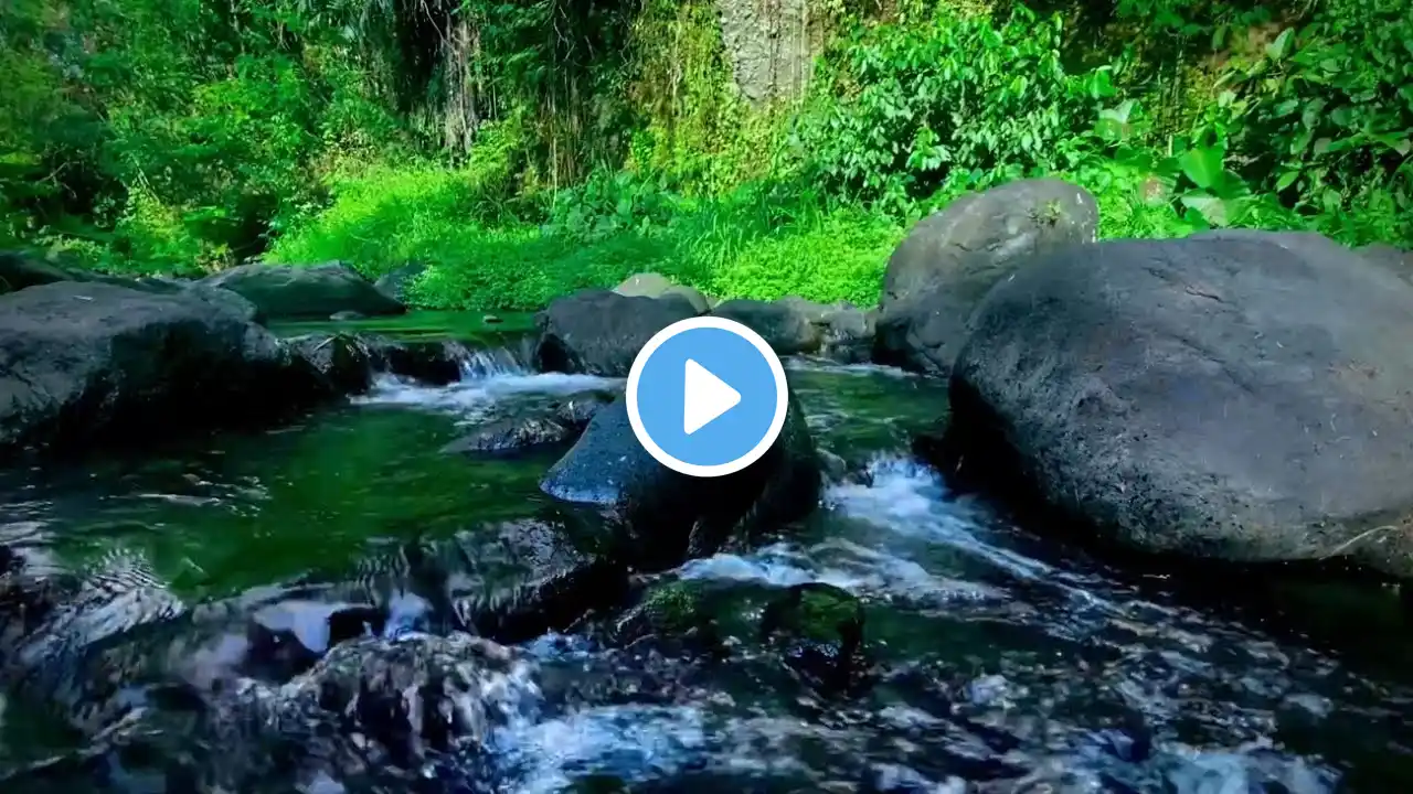 Serene Forest Streams and River Sounds to Melt Away Stress and Guide You Into Peaceful Slumber