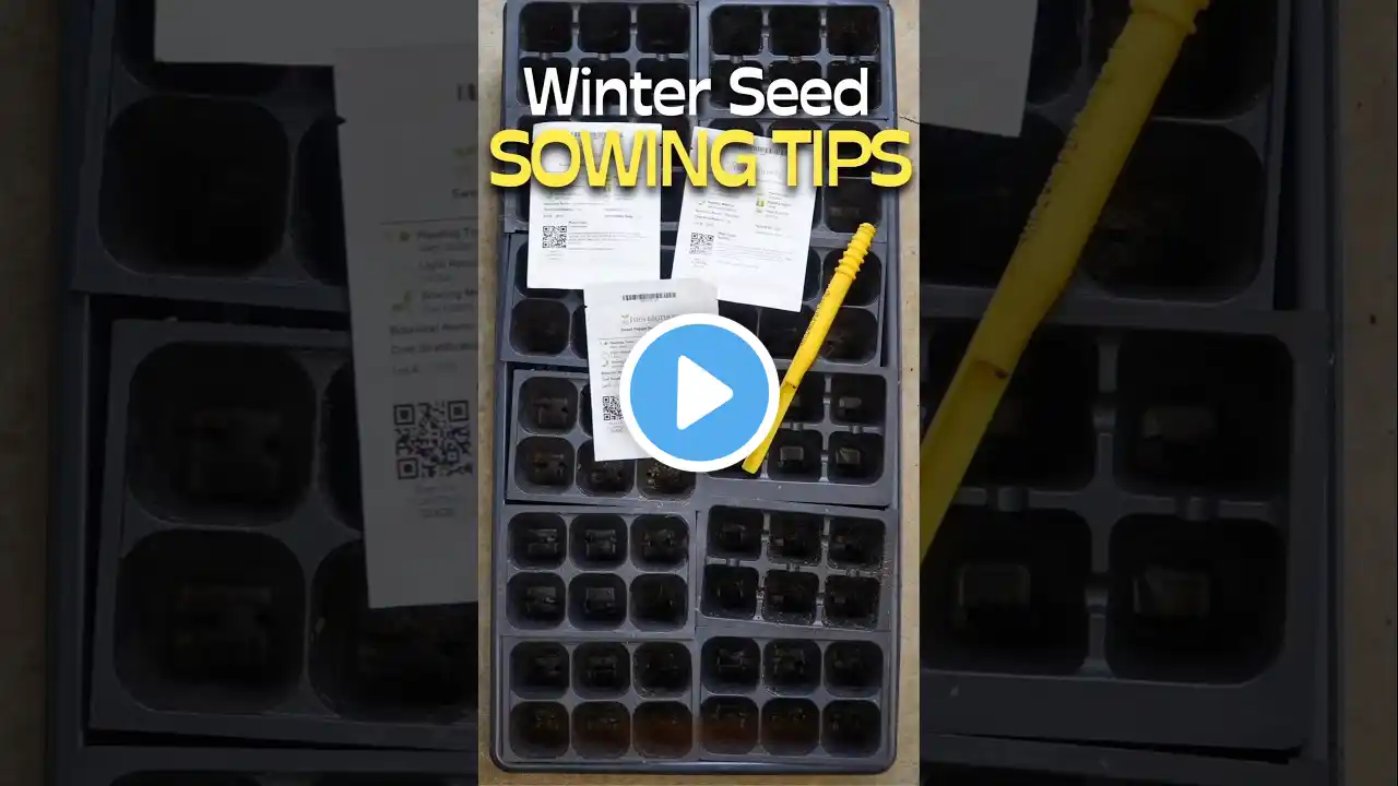 Winter Seed Sowing: Get Started Early With Tips and Tricks #shorts #seeds #winter