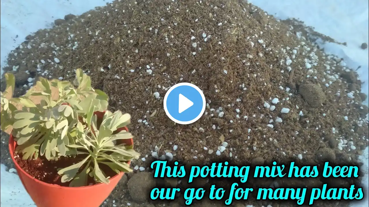 మట్టి మీశ్రమం తయారీ విధానం / How to prepare perfect potting mix? / Universal Potting soil #how