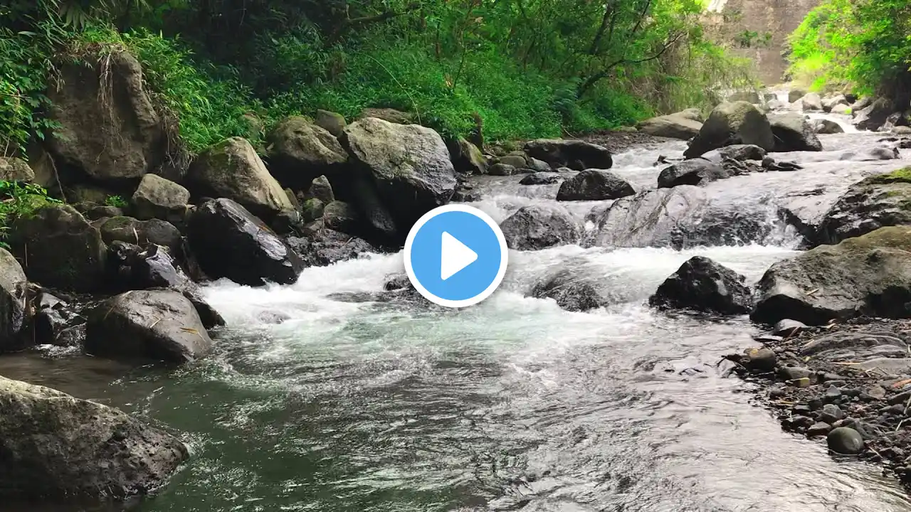 Peaceful River Flowing Sound. Gentle River - Relaxing Nature Sounds. White Noise for Sleep, Study