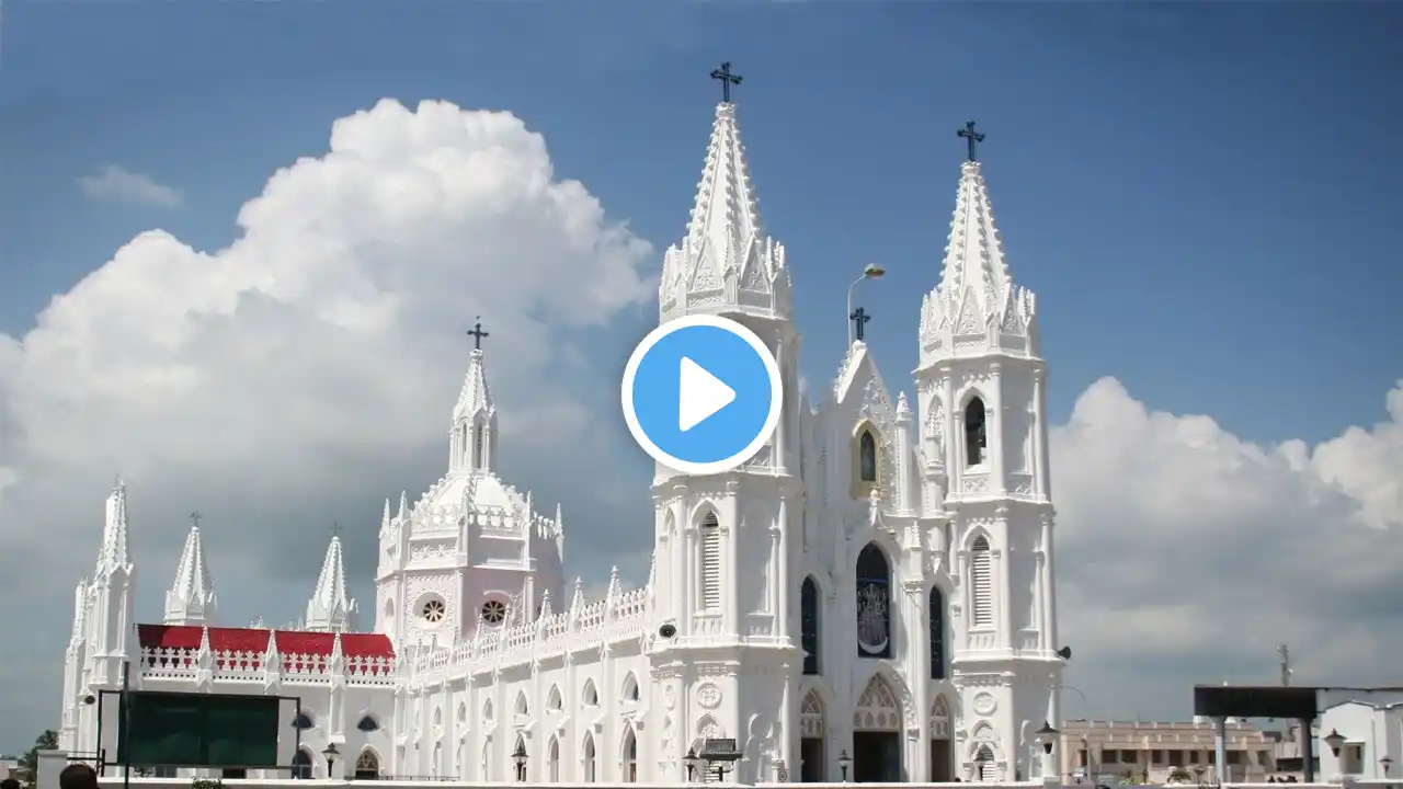 26 July 2022 - Vailankanni Shrine Basilica | Daily Mass | Holy Cross Tv | Today Mass | Daily Tv Mass