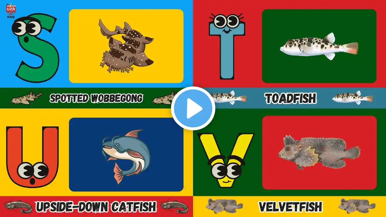 🐠 A to Z Camouflage Sea Creatures Song | Fun Ocean Animals for Kids! 🌊🎶 | #abcd #kids