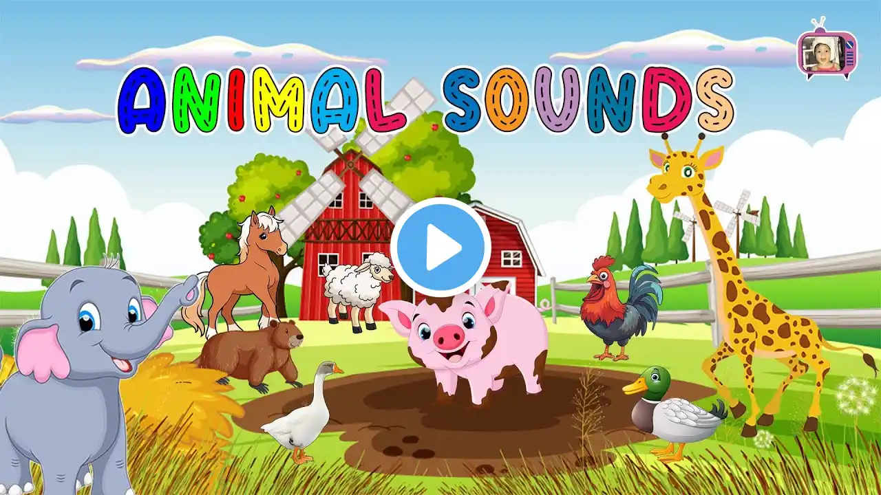 Amazing Animal Sounds : Cow, Lion, Sheep, Dog, Cat, Rooster, Elephant  | Animal Sounds for Kids