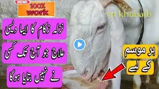 Goat Flu Treatment/Bakray ko Nazla ho Jay to us ka Ilaaj/Goat cough Treatment/Goat cough medicine ll