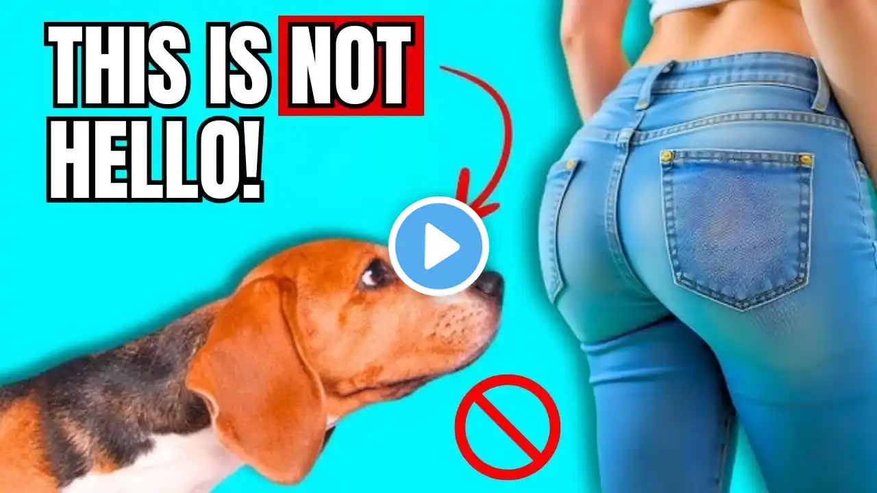 The Real Reason Dogs Sniff Butts Is Weird!