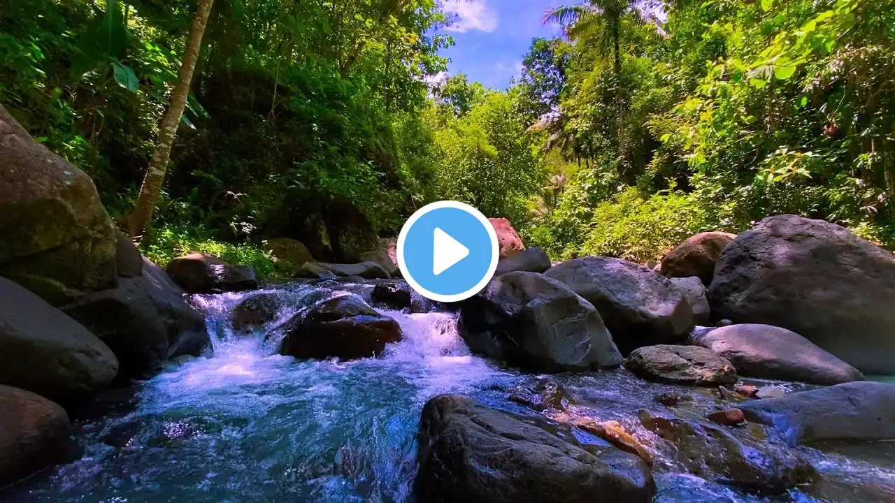 Soothing River Flow Rainforest White Noise for Better Sleep for Study for Healing for Meditation