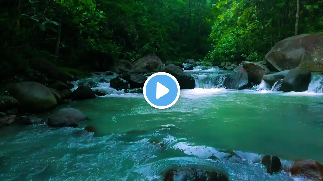 Gentle Flowing River with Birds โ Soothing Nature Ambience for Calm and Stress Relief