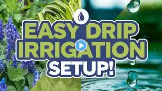 "How to Set Up a Home Water Drip Irrigation System: Step-by-Step Guide"