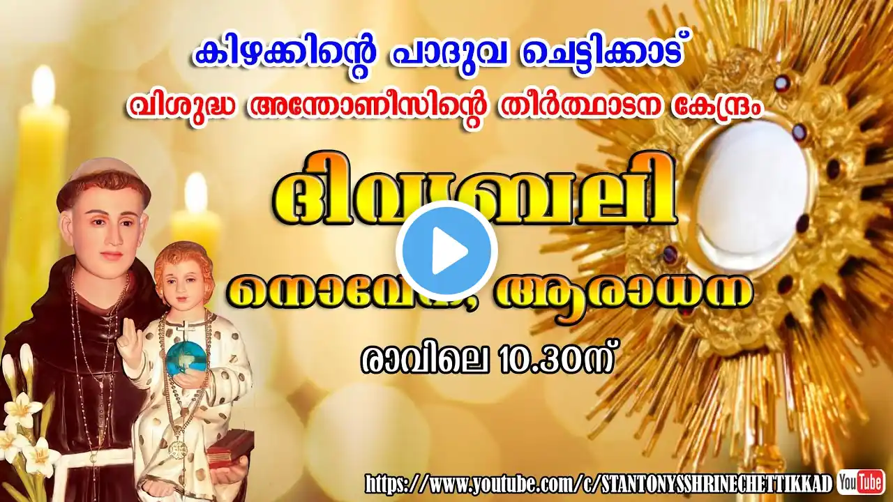 LIVE HOLY MASS || 11/ 10 / 2022 || ST.ANTONY S SHRINE CHETTIKKAD ||