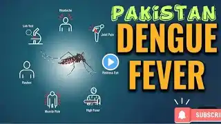 Dengue Fever | Pathophysiology, Symptoms, Diagnosis & treatments