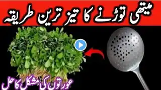 Methi Todne Ka Tez Tareen Tarika l Kasori Methi Cleaning l khashkhash Cleaning l Kitchen tips