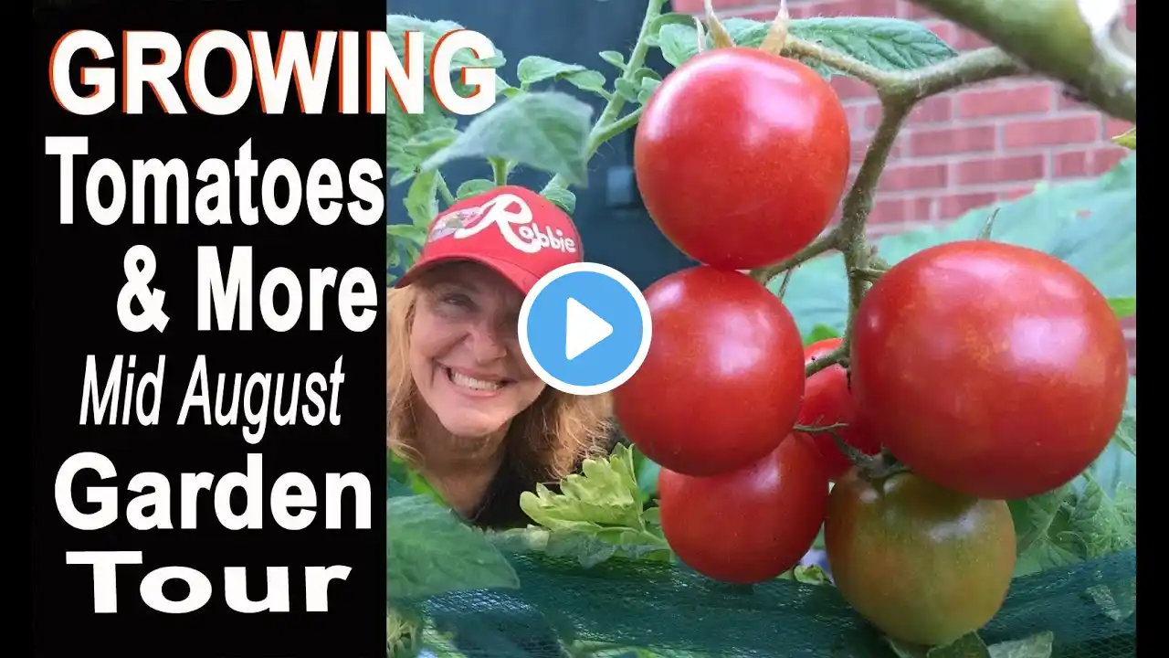 Vegetable Garden Summer Tour Tips Growing Tomatoes Collard Container Gardening Easy Compost Harvest