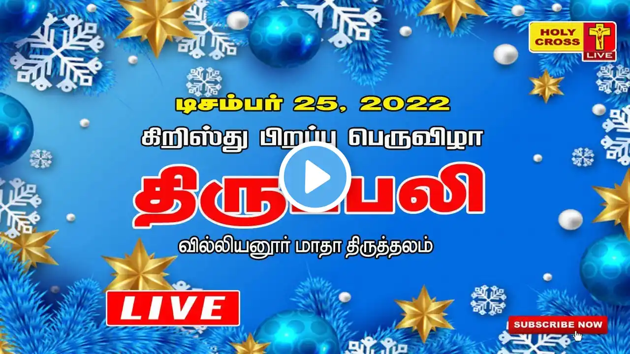 25 December 2022  -  Christmas Morning Mass | Villianur Lourdes Shrine | Holy Cross Tv | Daily Mass