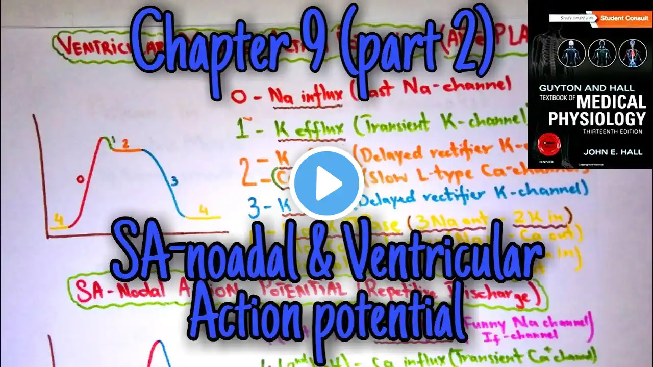 SA nodal and ventricular muscle action potential Chapter 9 part 2 Guyton and hall - Heart physiology