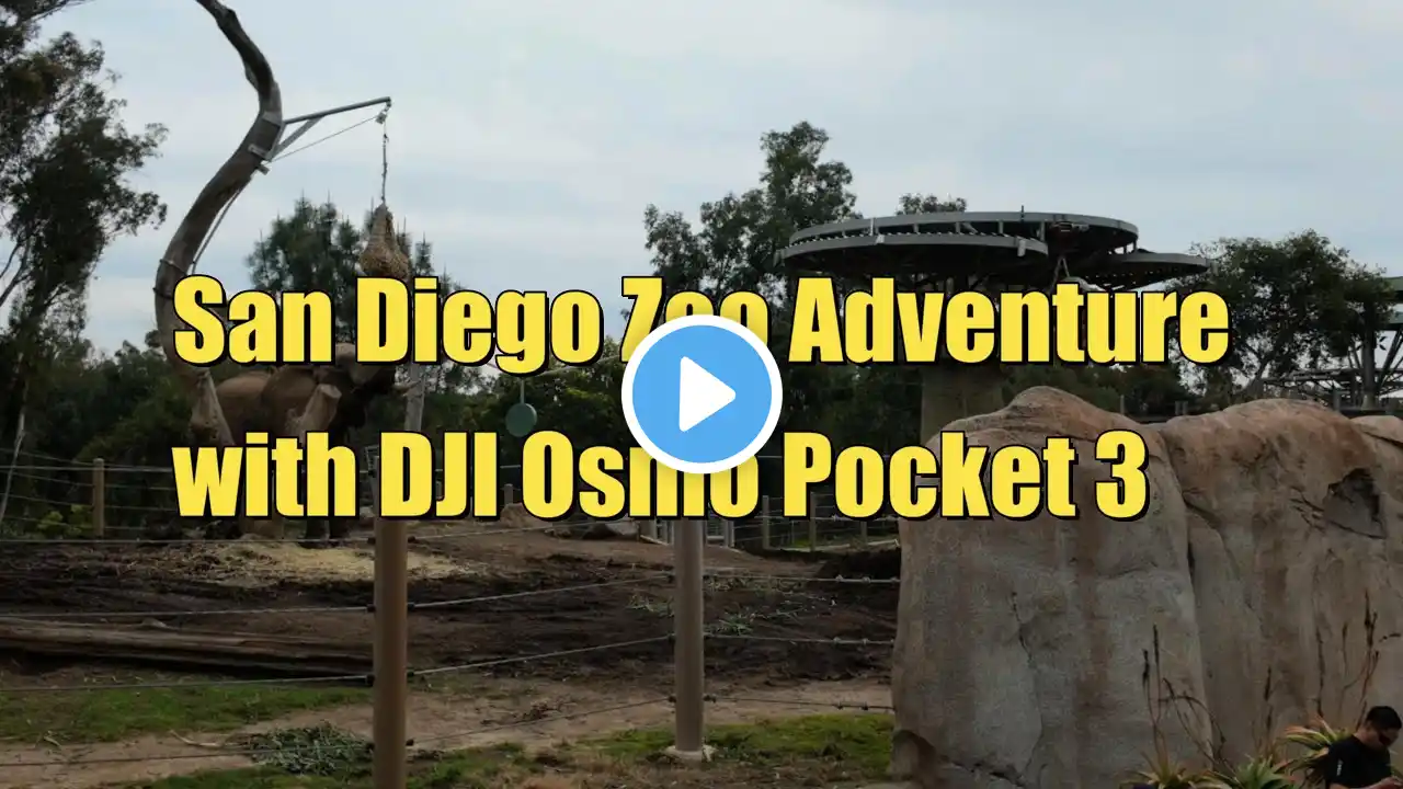 San Diego Zoo with DJI Osmo Pocket 3