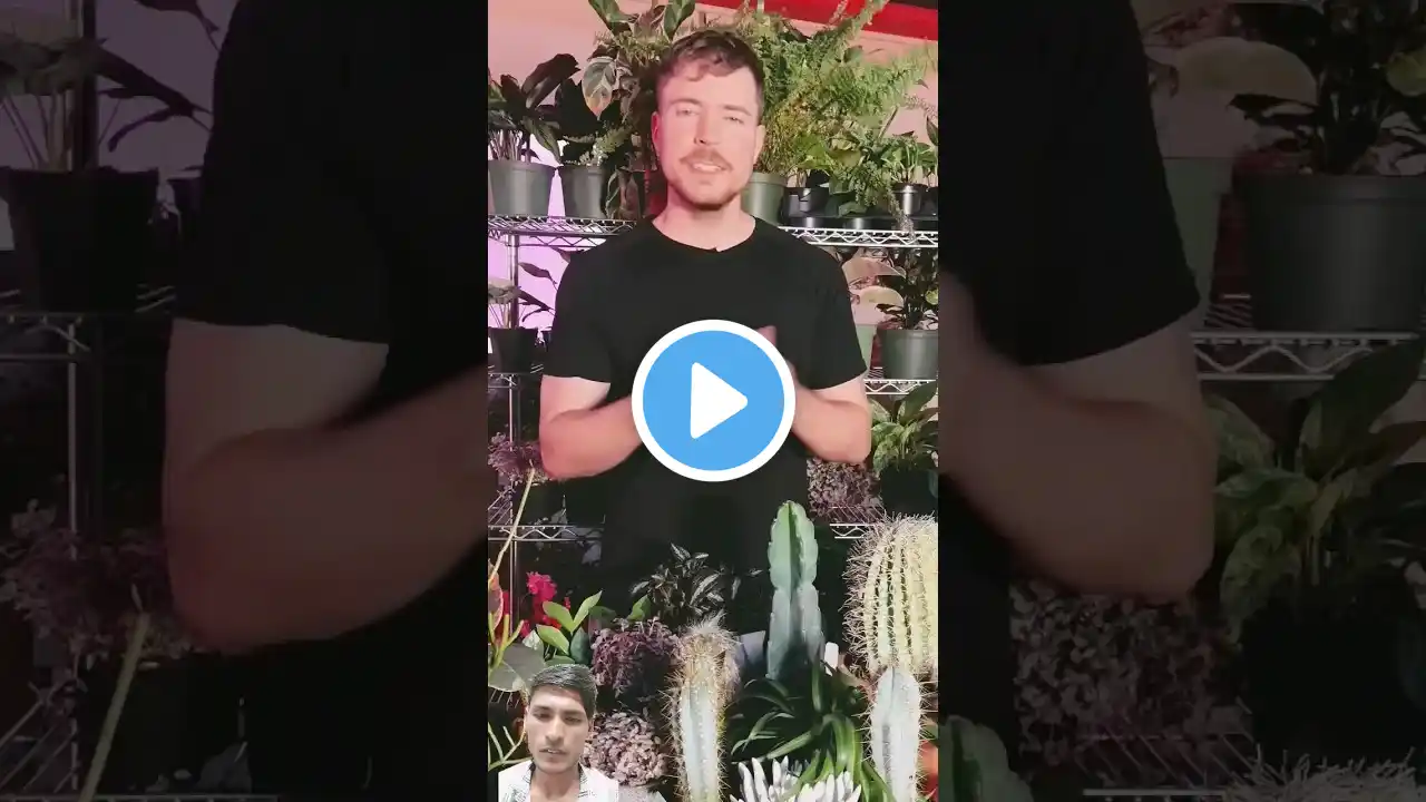 Real Or Cake For $10,000 🔥 || Mr best || Challenge #ytshorts #shorts #shortsfeed #firstvlog #mrbeast