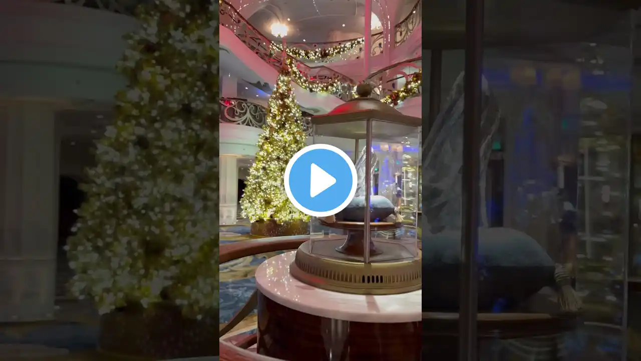 Omg so Beautiful 🥰 The Christmas Tree and Cinderella’s Glass Slipper on the Disney Wish