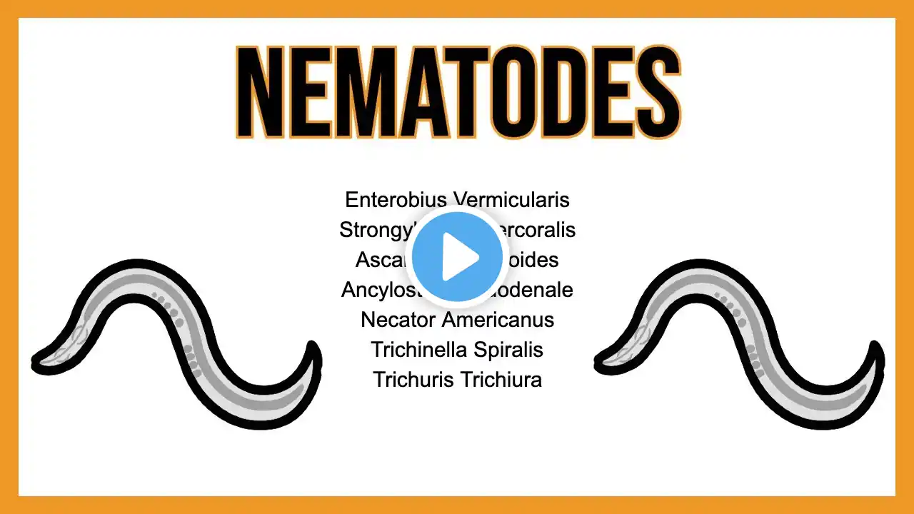 Nematodes (INTESTINAL parasites)