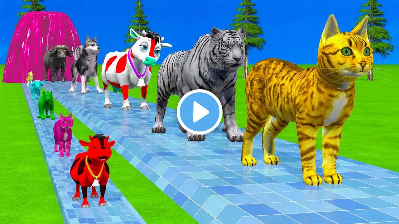 Paint & Animals Red Cow,Cat,Tiger,Monkey,Buffalo,Dog Fountain Crossing Transformation Animal Cartoon