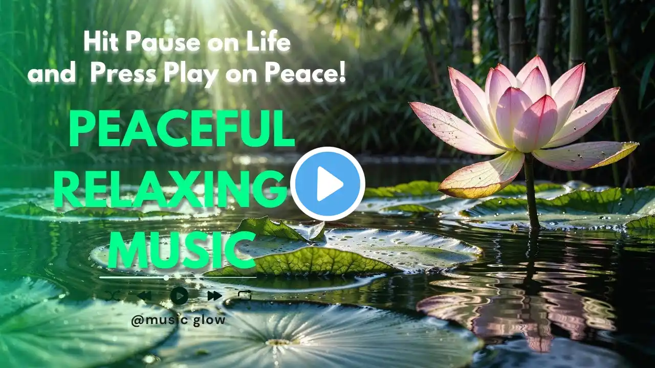 Calm, Peaceful, Ambient Music  | Relaxing Water & Lotus Meditation Music