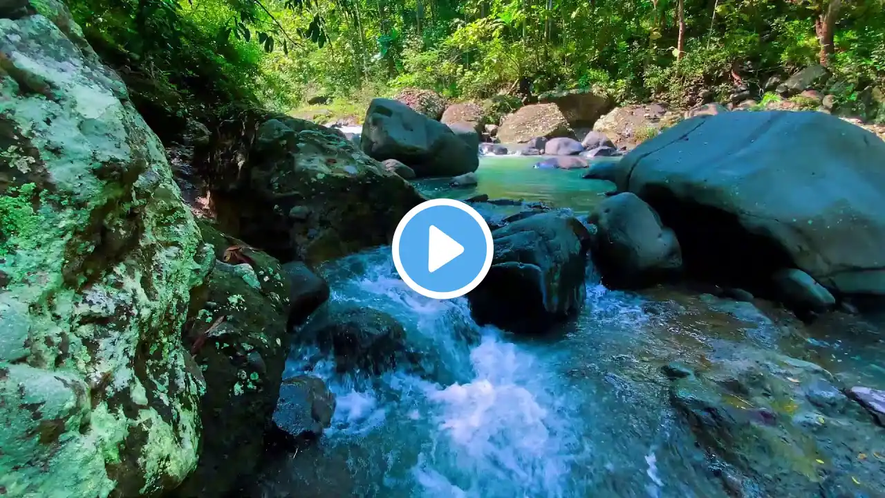 Relaxing River Sound Peaceful Forest Improves Mood, Relieves Stress, Helps Sleep Soundly