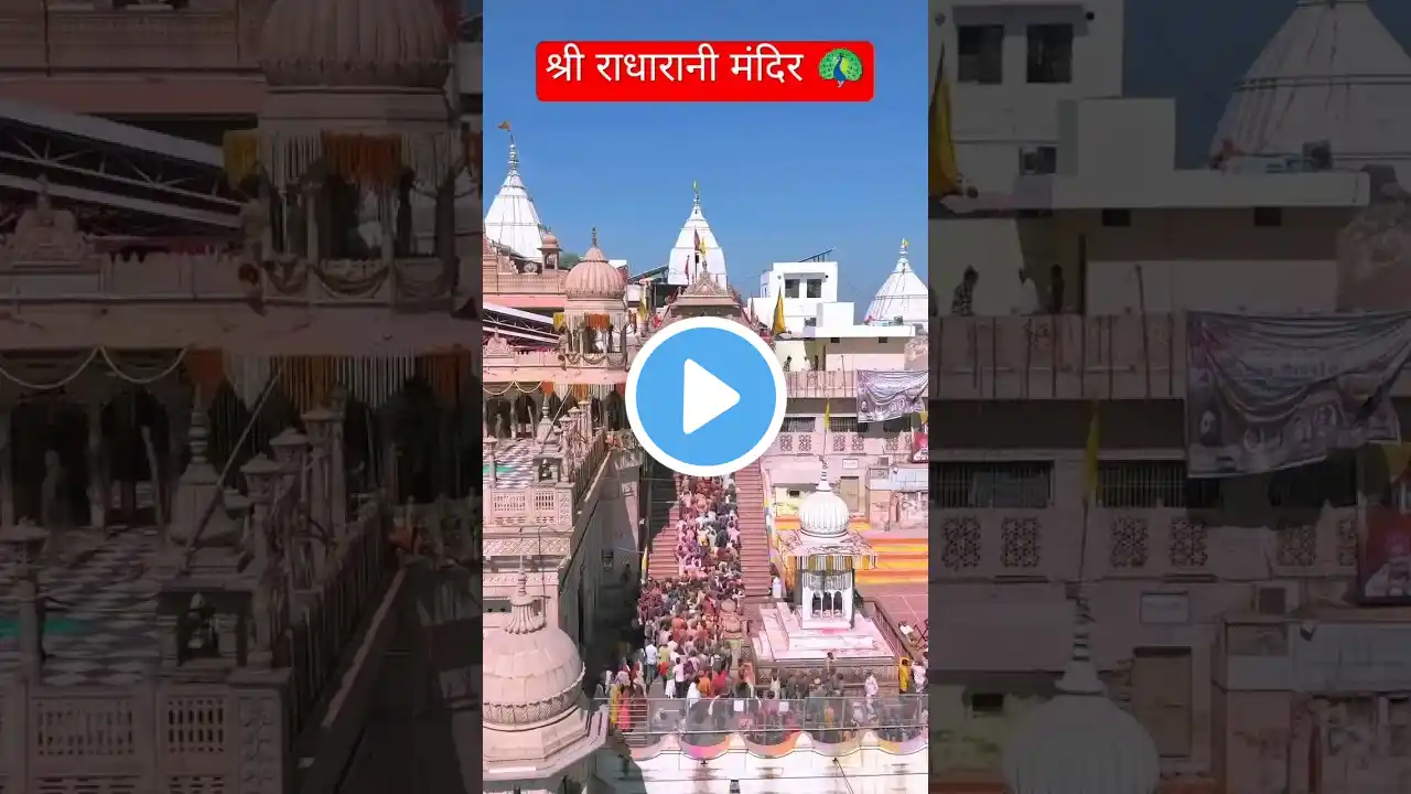 श्री राधारानी मंदिर 🦚 #shorts #short #youtubeshorts #youtube #explore #viralvideo #trending #krishna