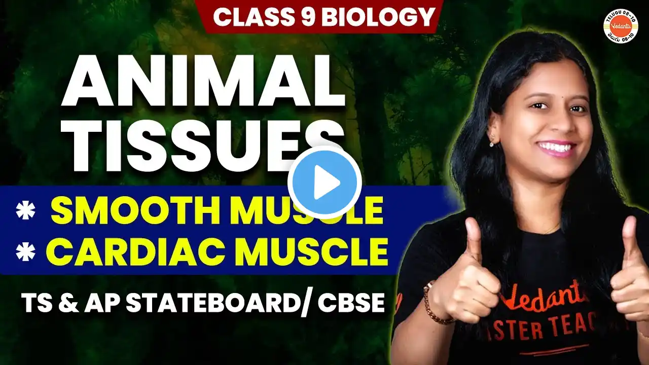 Animal Tissues | *Smooth Muscle * Cardiac Muscle | Class 9 Biology TS & AP Stateboard/CBSE Sunaina