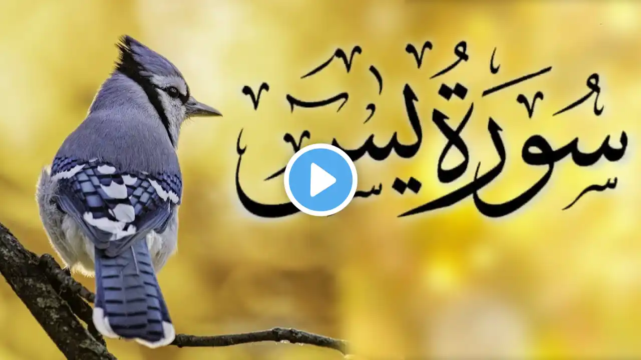 Surah Yasin (Yaseen) | Full With Arabic | Beautiful recitation |سورہ یسین | Quran recitation |