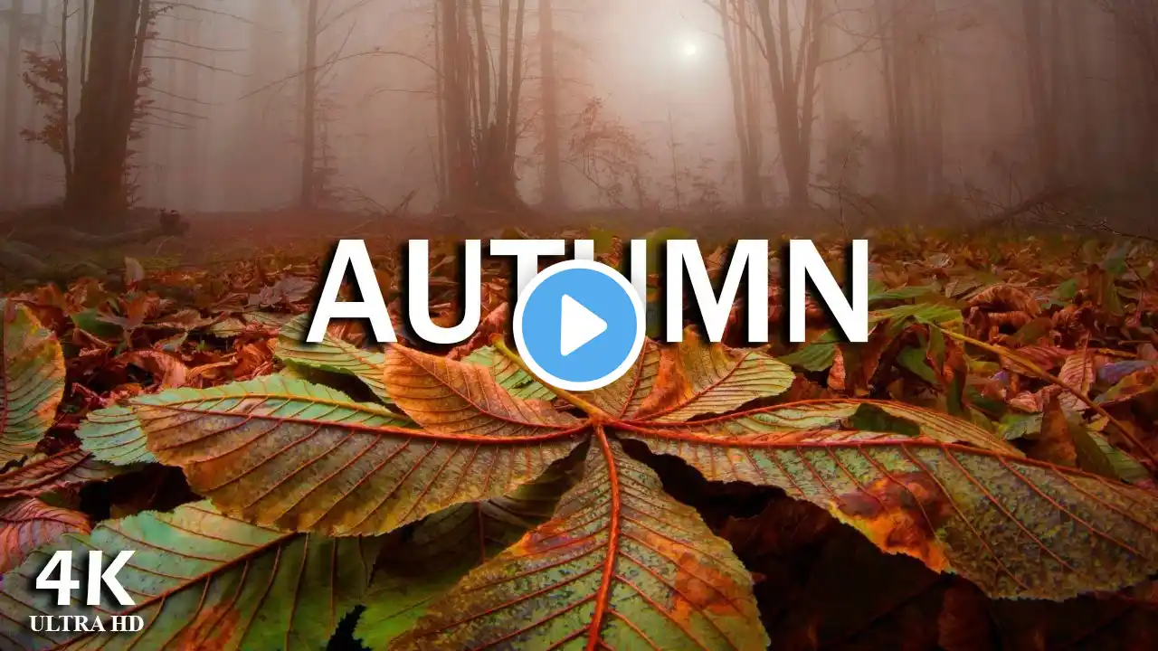 AUTUMN • 4K Relaxation Film • Peaceful Relaxing Music • 4k Video UltraHD