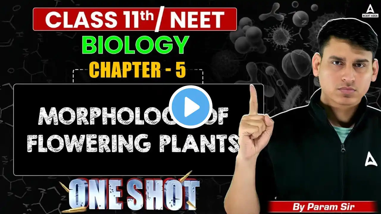 Morphology of Flowering Plants Class 11 ONE SHOT | Complete Chapter in One Video | Param Sir