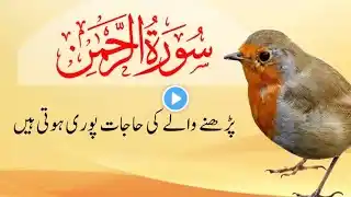 🔴 LIVE: Surah Rahman Powerful Voice | Most beautiful Quran Recitation | Ayat e noor Episode 0038