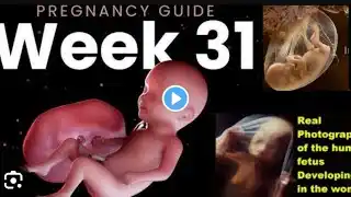 pregnancy month 7 | pregnancy week by week | pregnancy symptom #baby #pregnancy #pregnancycare