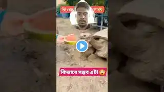 Bangla Status #unfrezzmyaccount #shortsfeed #viralvideo #shortsvideo #song #trending #status #shorts