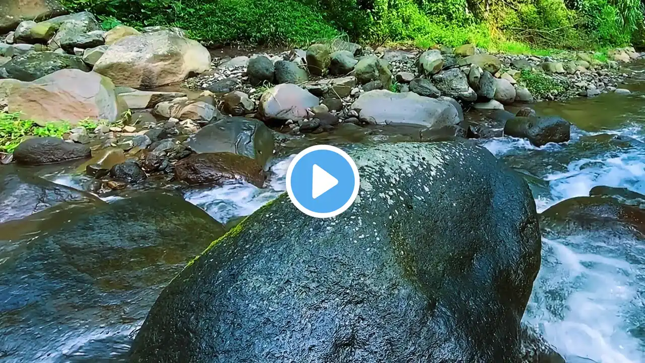 River Sounds for Instant Calm - Natural Sleep Aid with Gentle Flowing Water Ambience