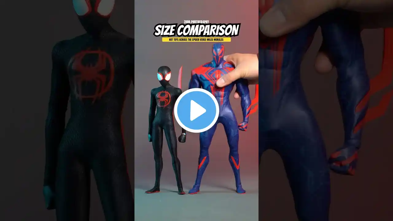 Size Comparison: Hot Toys Marvel Spider-Man Across the Spider-Verse - Miles Morales #spiderman