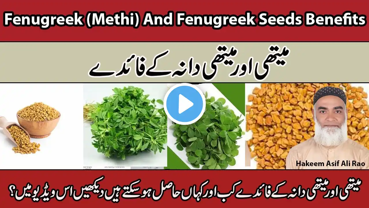 | Fenugreek (Methi) And Fenugreek Seeds Benefits | Methi Aur Methi Dana Ke Faidy