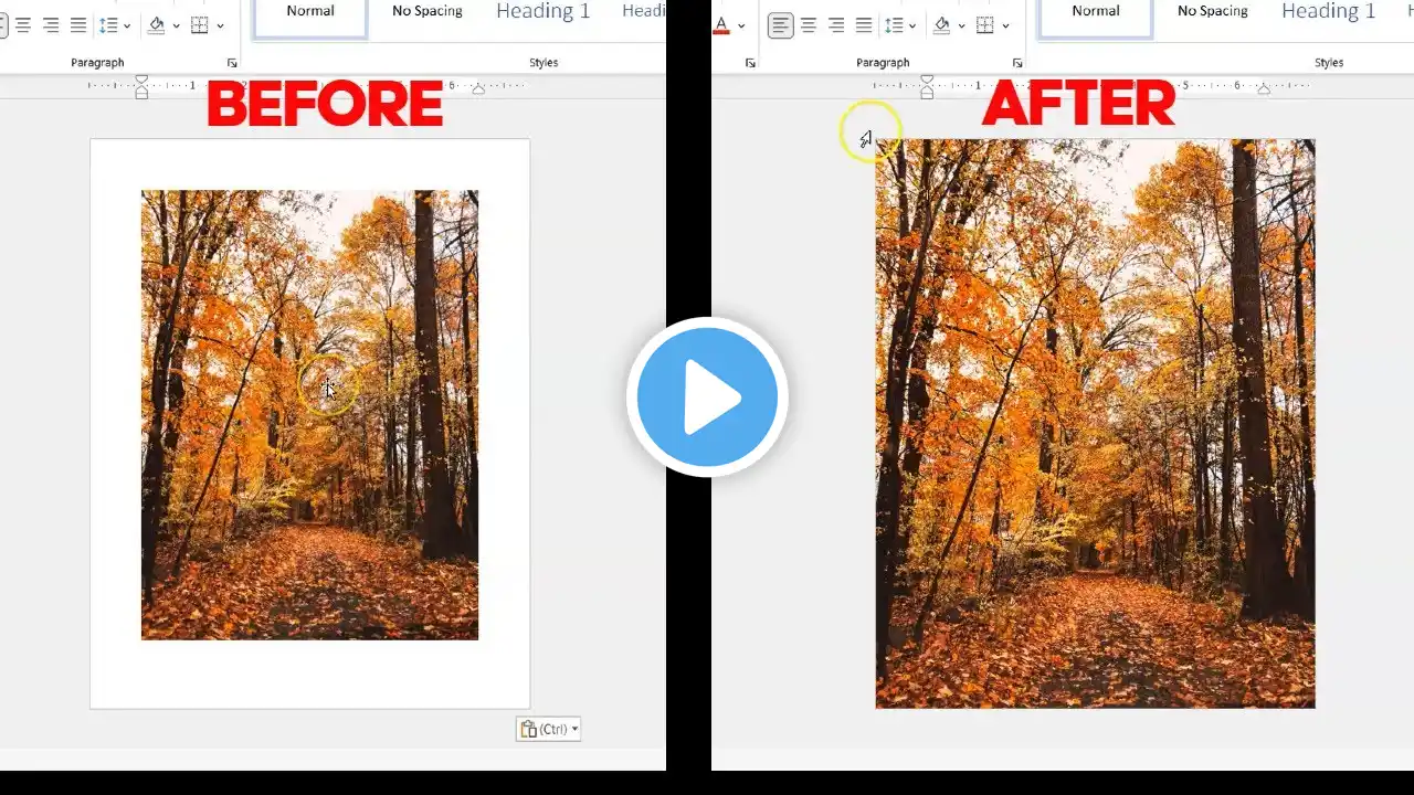 How to Print to Edge of Document in Microsoft Word | BORDERLESS PRINTING OF IMAGES TO EDGE OF PAGE