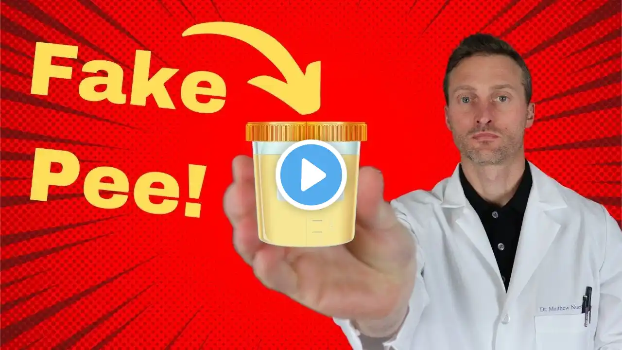 Can synthetic urine (fake pee) beat a drug test - The facts!