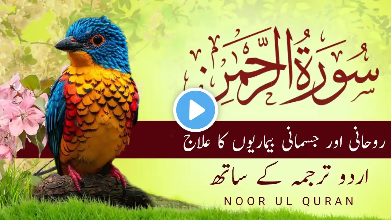 Surah Rahman beautiful recitation | with Urdu Bangla & Hindi translation | Noor ul Quran