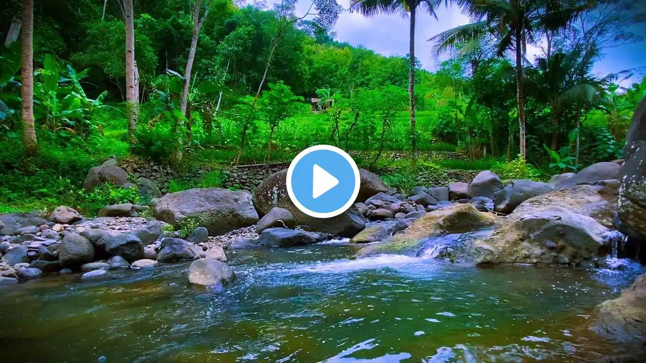 Gentle River Flow Soothing Nature Ambience for Sleeping and Relaxing for Study for Meditation