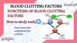 ALLIED HEALTH SCIENCES | CLOTTING FACTORS | It's function and easy way to study well |