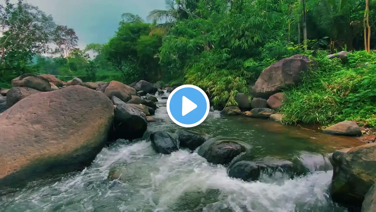 Soothing River Ambience with Gentle Flowing Water β Nature Sounds for Stress Relief, Sleep & Focus