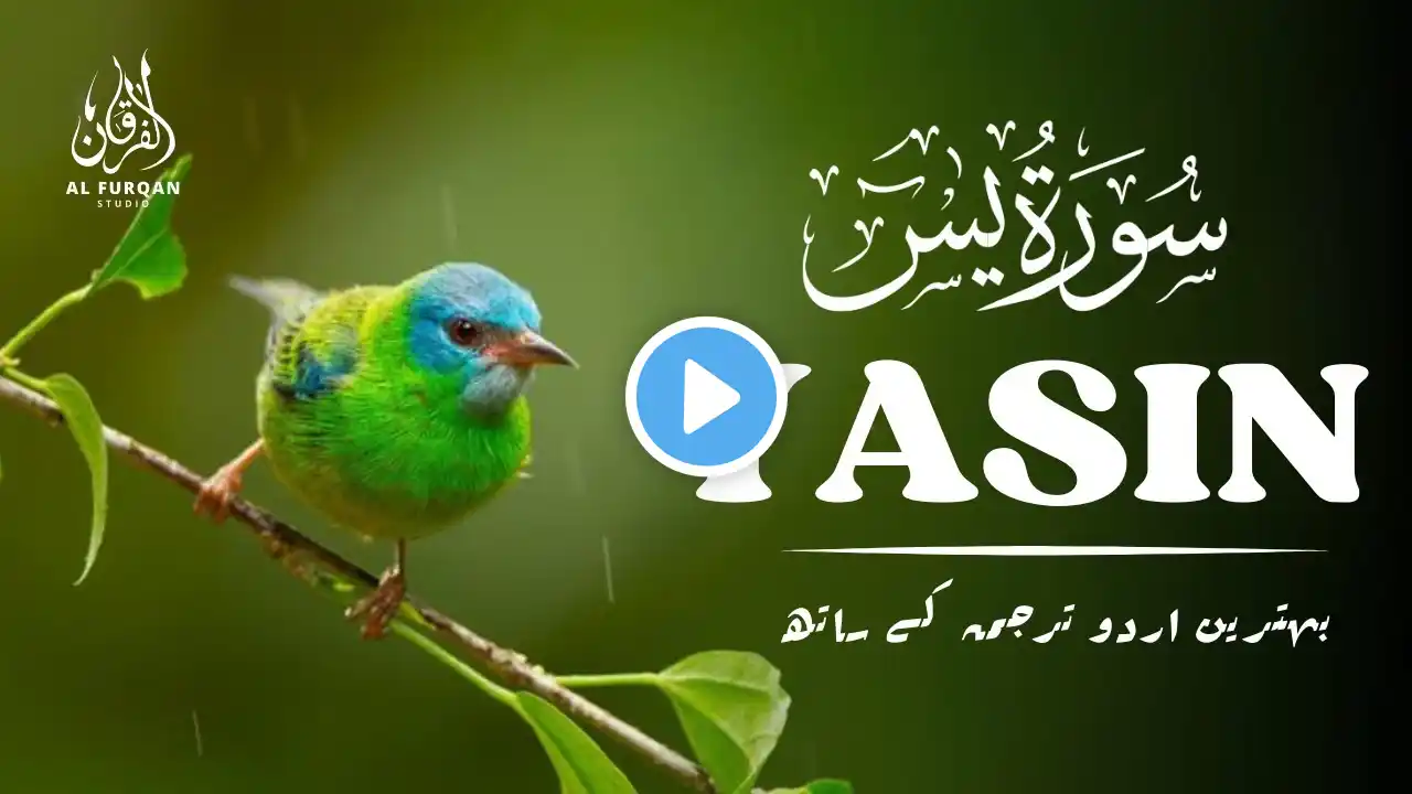 Surah Yaseen _ Surah Yaseen With Urdu Translation _ Episode _ 123