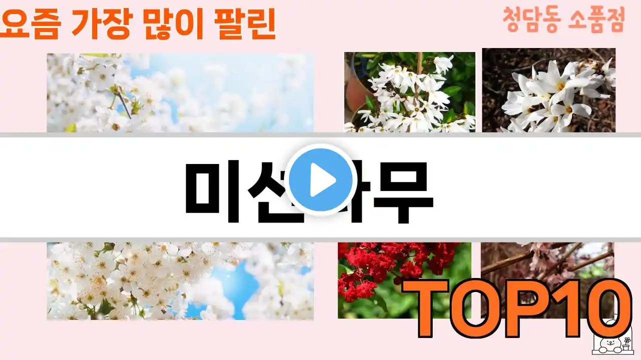가장 많이 팔린 미선나무 추천 Top10!